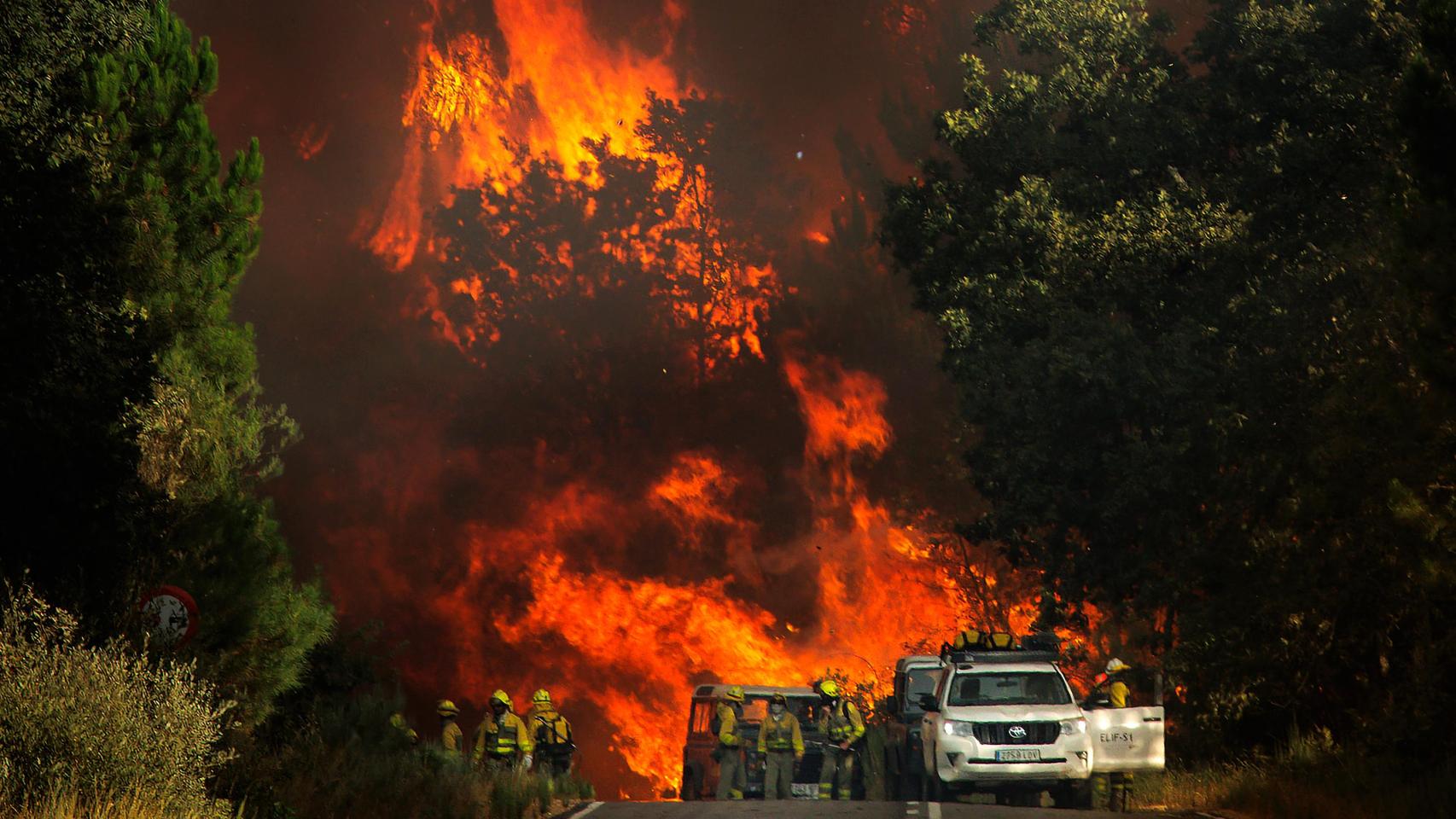 Incendio forestal en El Payo (Salamanca) en nivel 2.