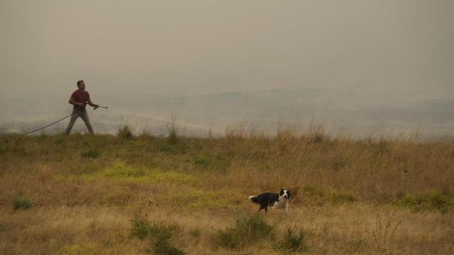 Imagen de uno de los incendios.