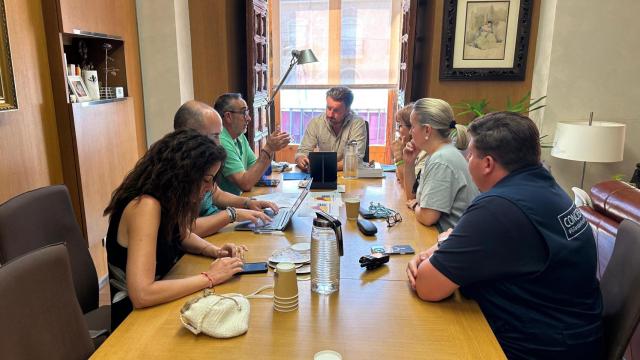 Reunión del Cecopal. Ayuntamiento de Elche