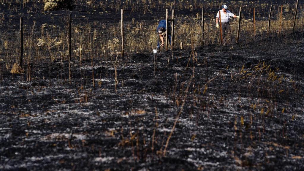 Imagen de las proximidades de Urraca-Miguel, en Ávila.