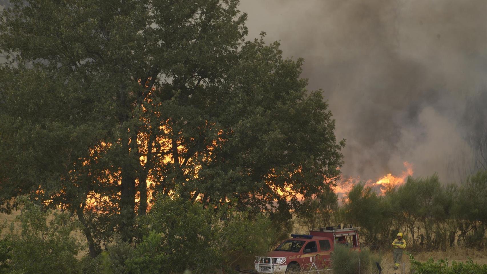 Incendio forestal se acerca a Vilela, a 15 de agosto de 2025, en Vilela, Cualedro, Monterrei, Ourense, Galicia (España).