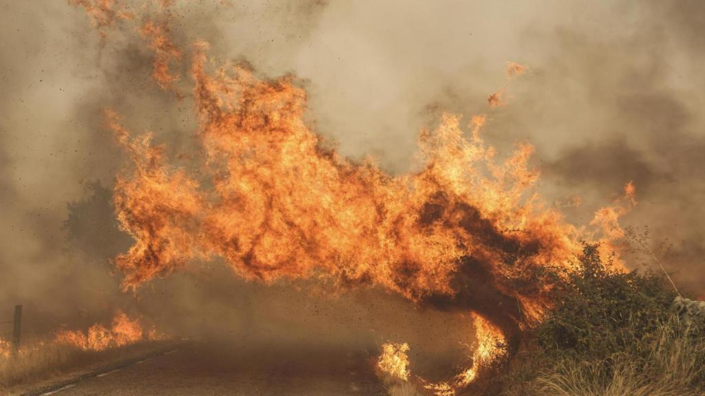 Incendio en Cipérez (Salamanca).