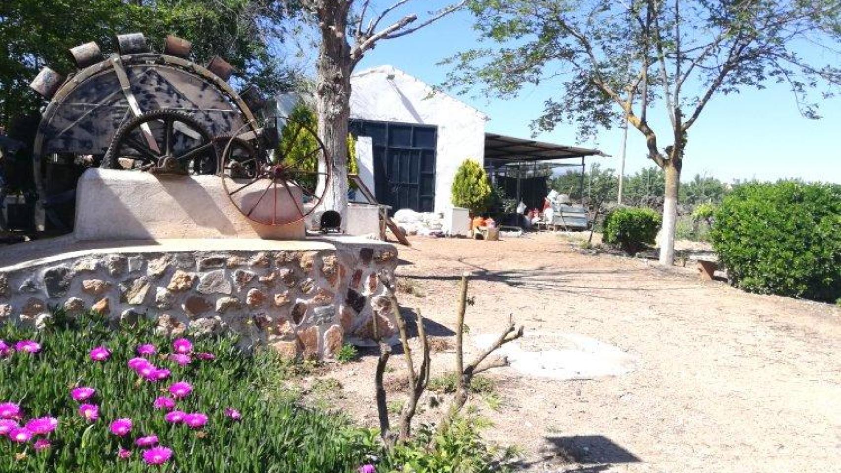 Imagen de la finca puesta a la venta. Foto: Agroanuncios