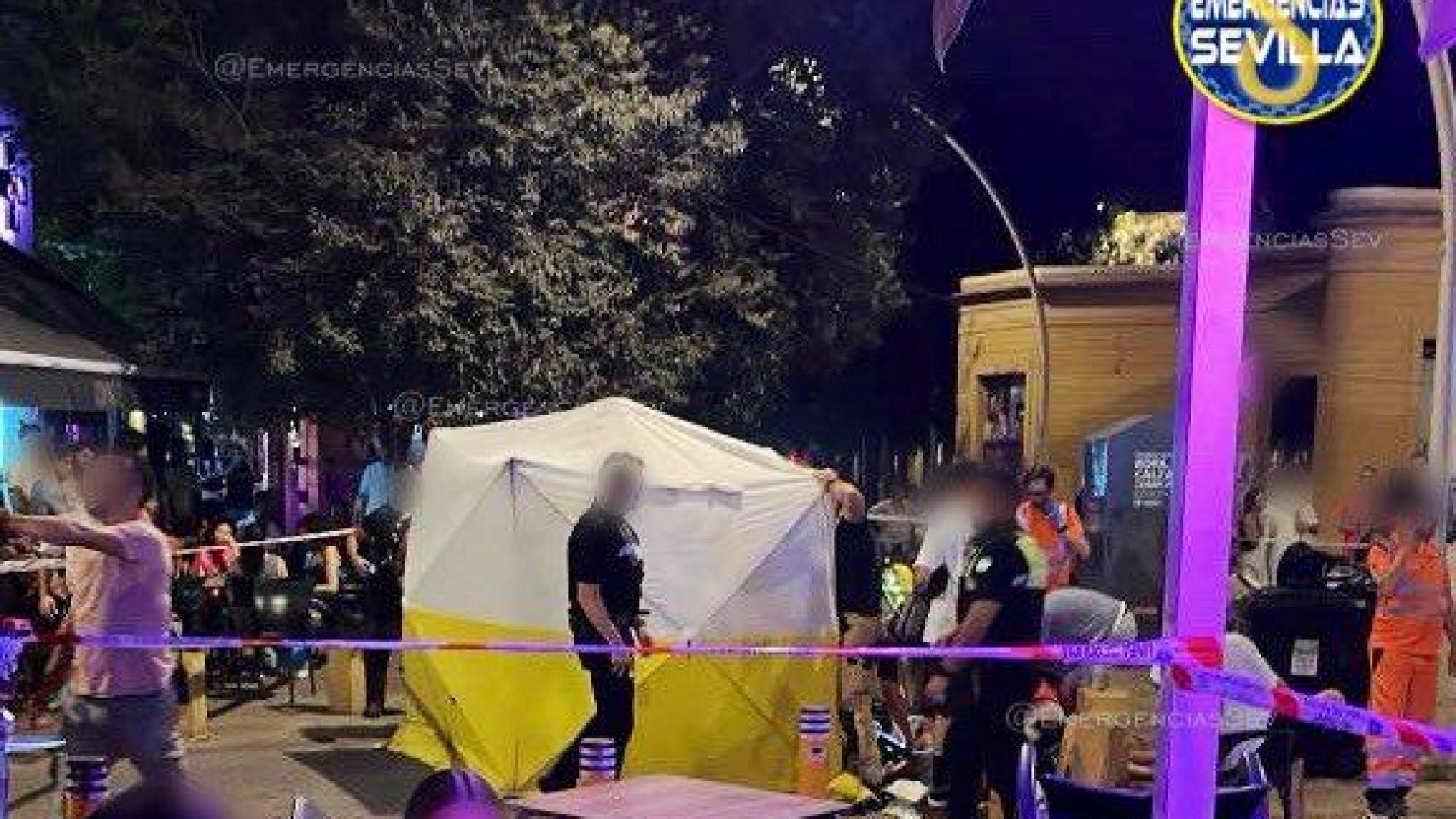 Lugar sobre el que cayó la rama del árbol en la Alameda de Sevilla.