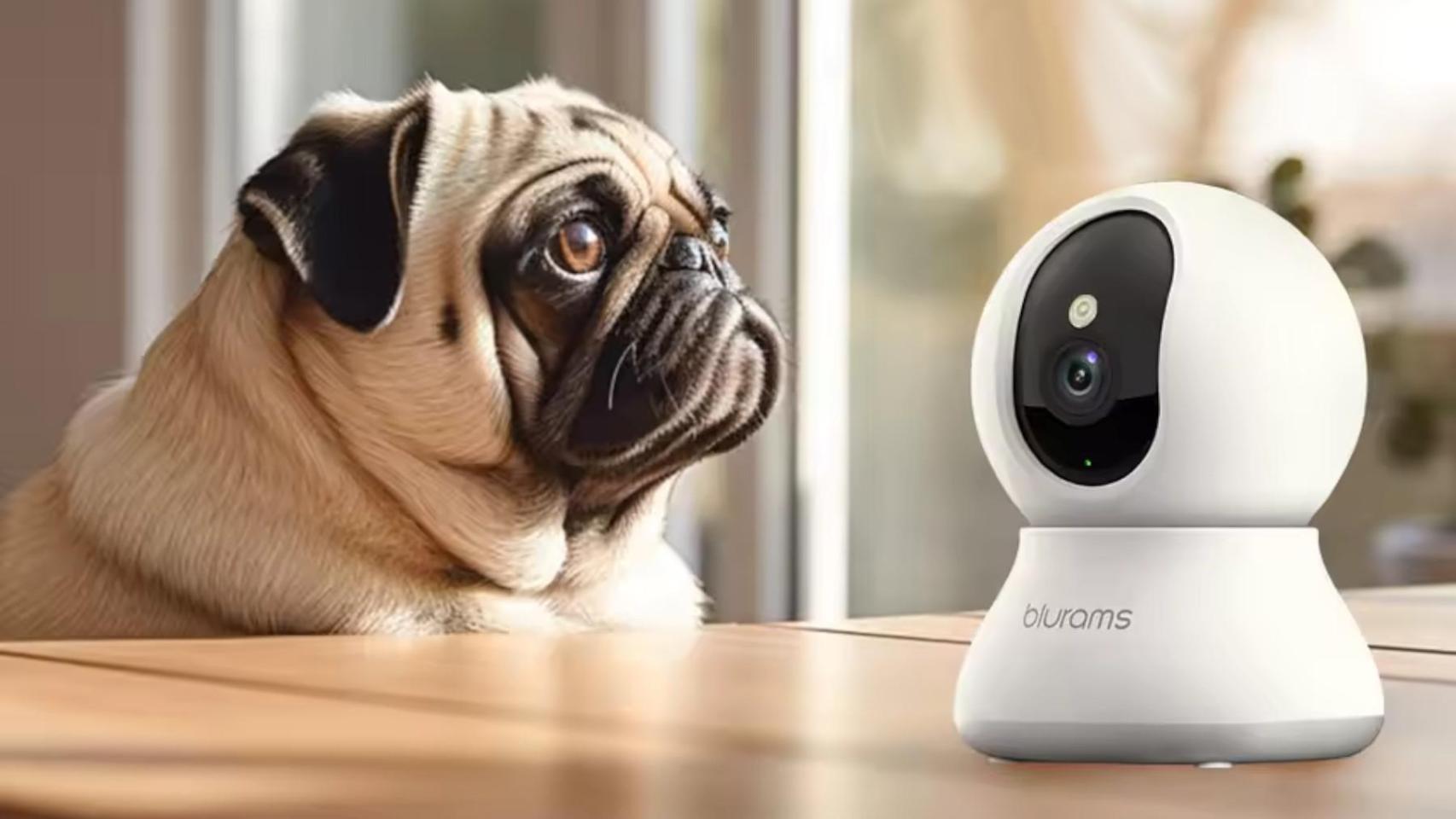 Cámara de vigilancia Blurams 2K