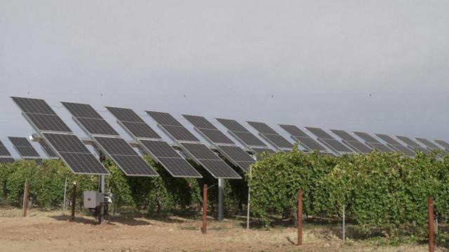 Primera planta agrovoltaica de Iberdrola en Álava para potenciar el cultivo de manzanas en País Vasco