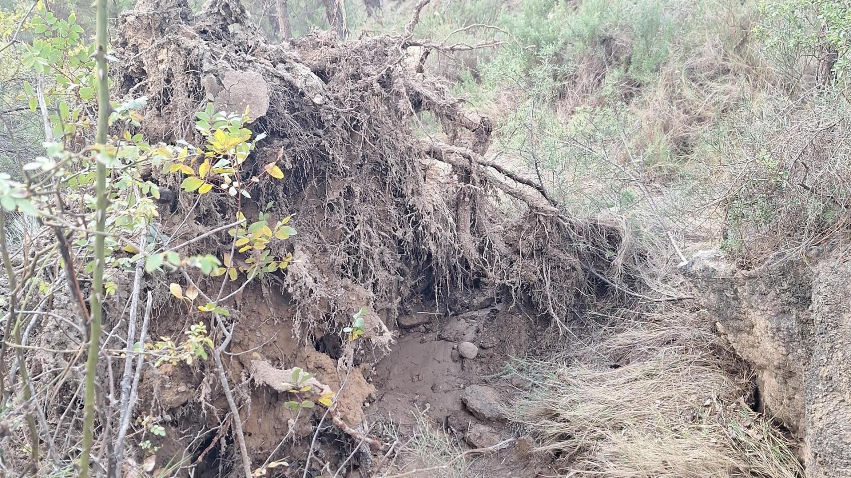 Daños ocasionados por la dana en Las Chorreras del Cabriel. Foto: JCCM.