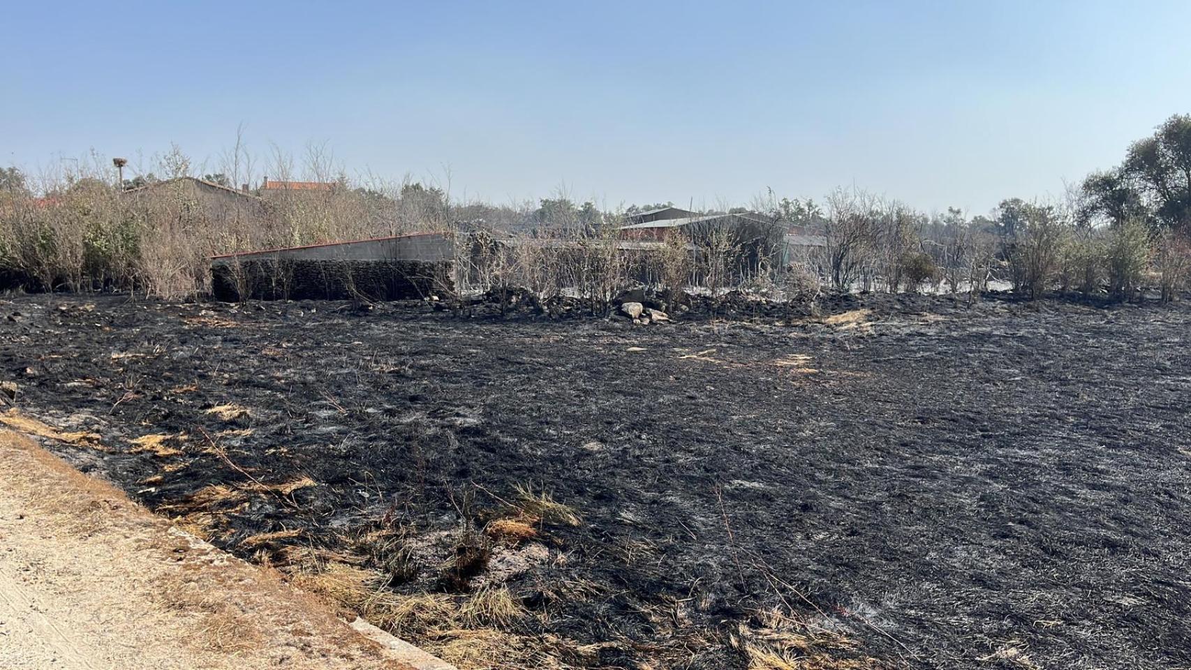 Imagen de los incendios en Cerezal de Puertas.