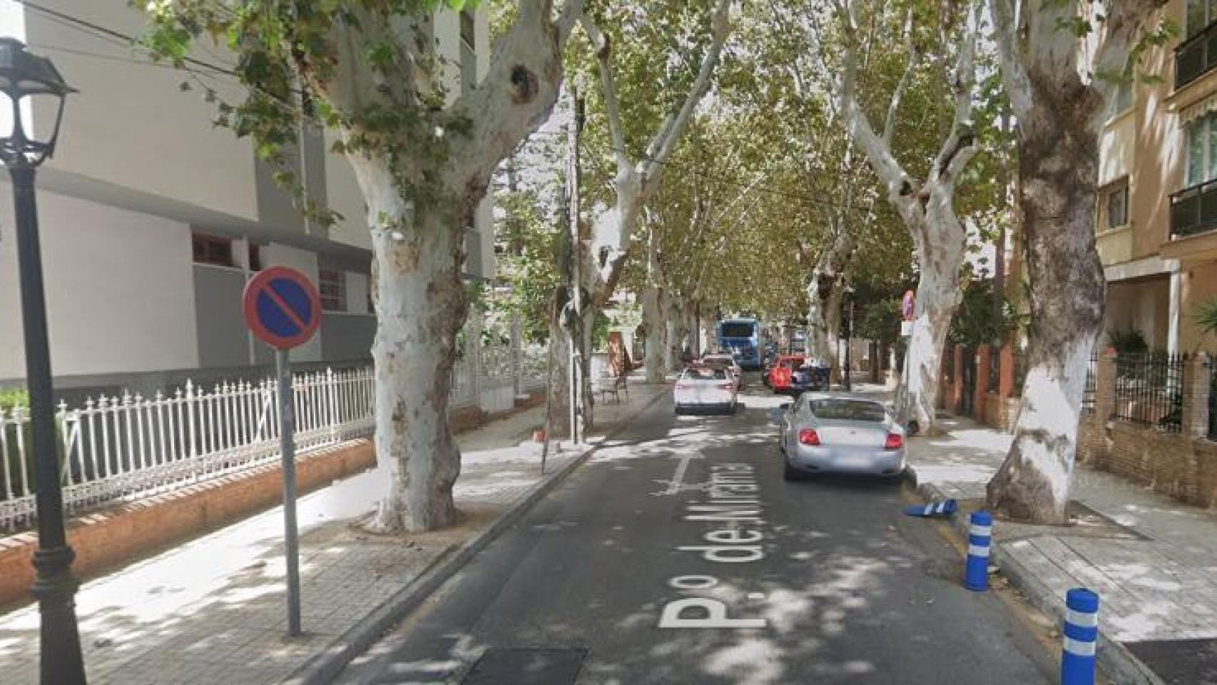 Imagen del Paseo Miramar.