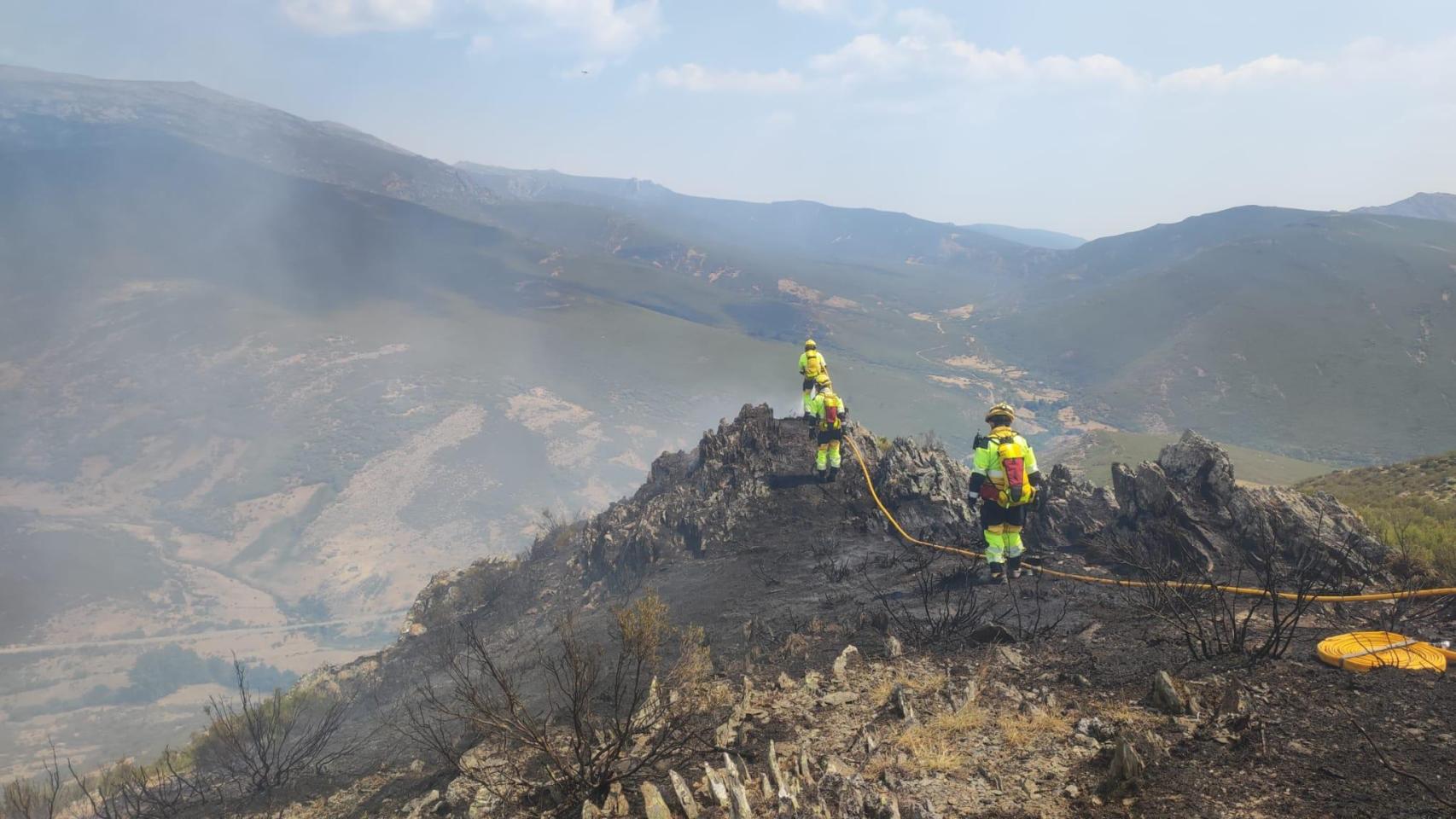 Bomberos forestales de la Generalitat Valenciana trabajan en la extinción de los incendios en Castilla y León. GVA