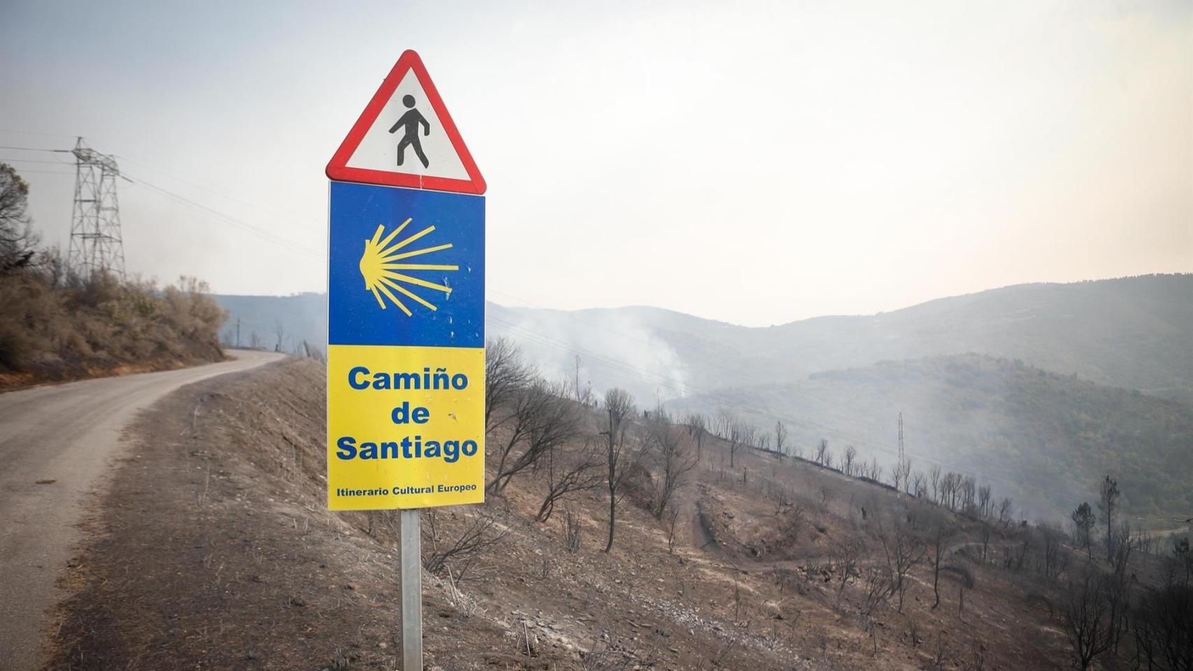 Zona calcinada tras el paso del incendio forestal, con una imagen del Camino de Santiago.