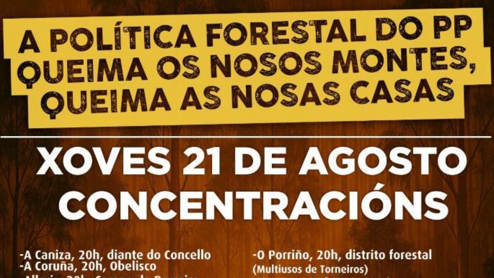 Imagen difundida en redes sociales por la plataforma 'Por un monte galego con futuro'.