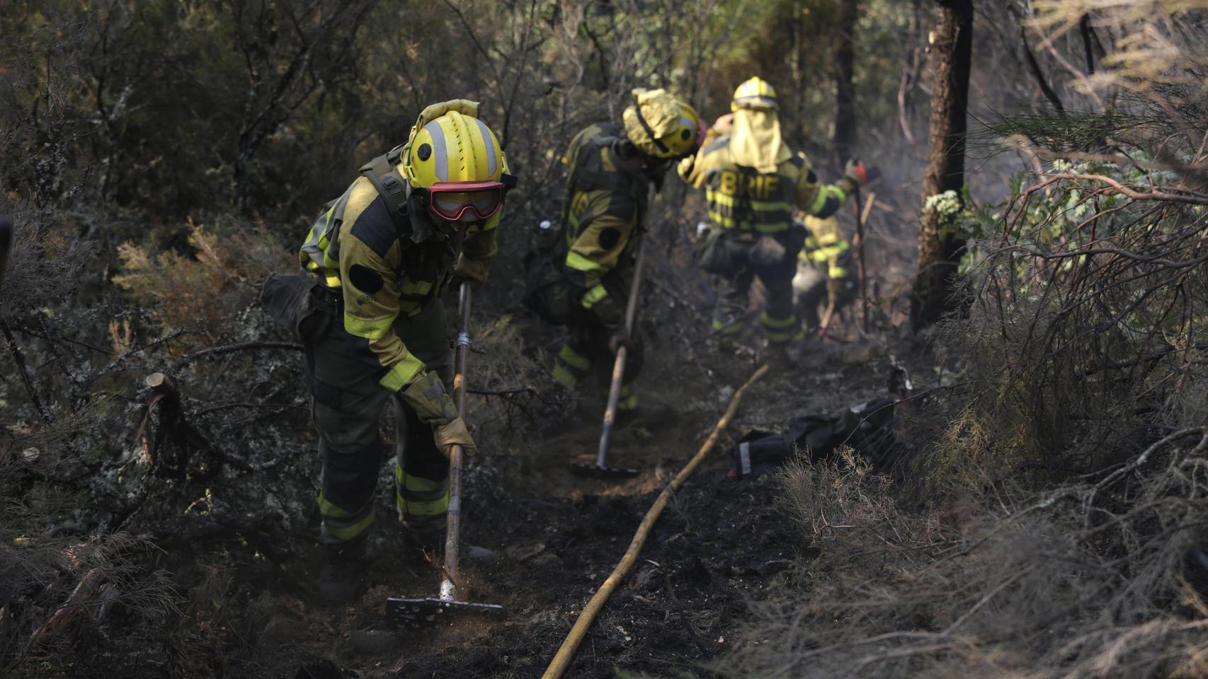 Varios bomberos forestales tratan de extinguir el fuego, a 19 de agosto de 2025, en Palacios de Compludo, León, Castilla y León.