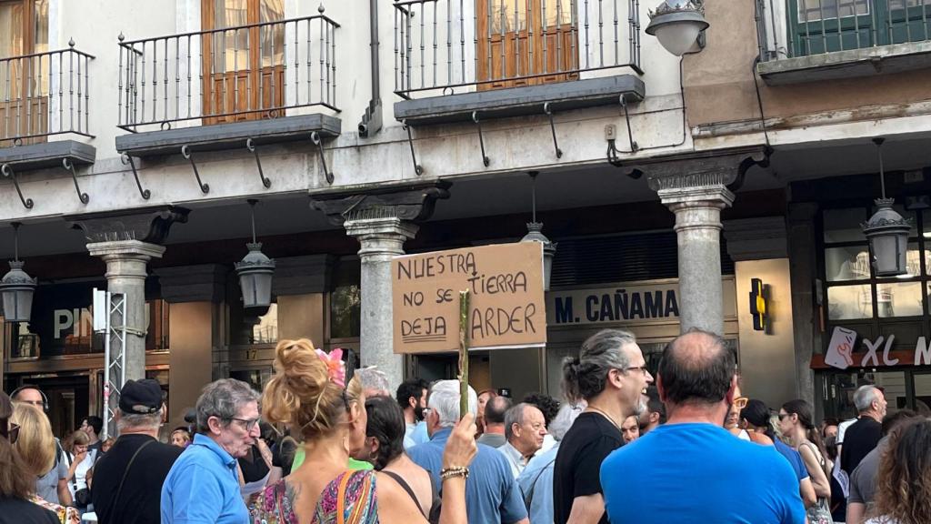 Carteles de reivindicación durante la marcha.