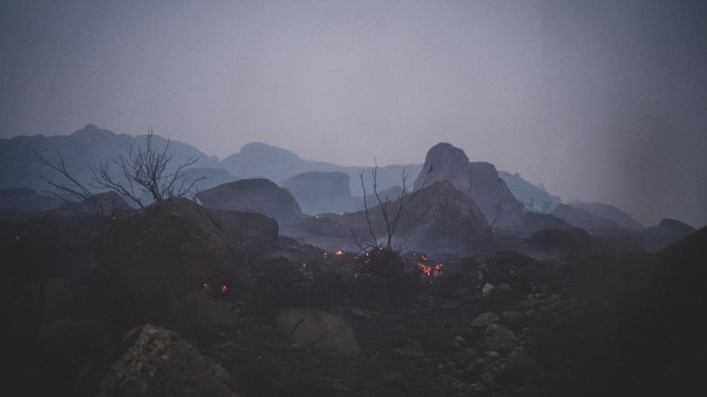 Restos del incendio en la zona de Valdeinfierno, Zamora.