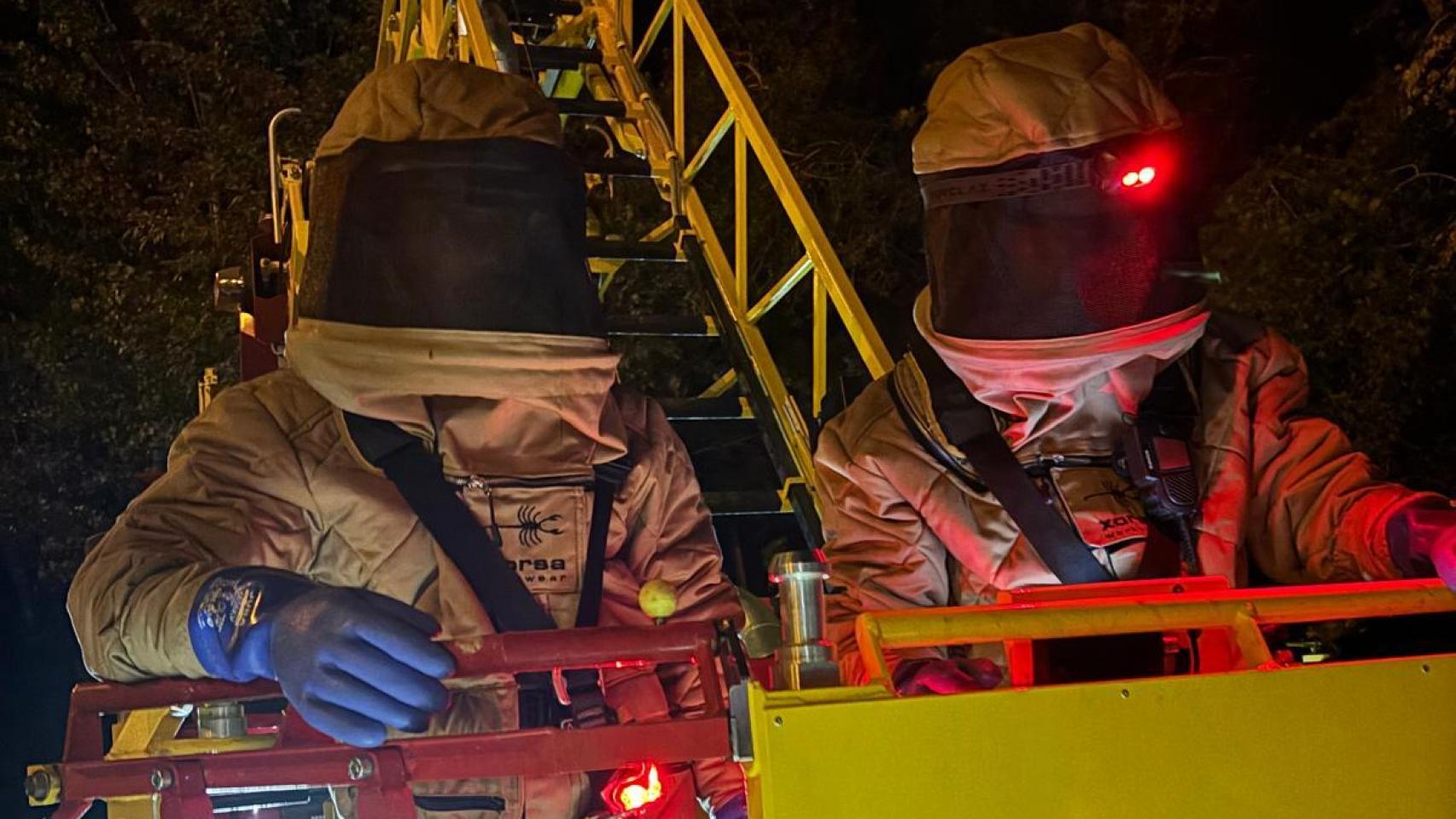 Bomberos retirando el nido de avispa asiática localizado en Alcañiz.