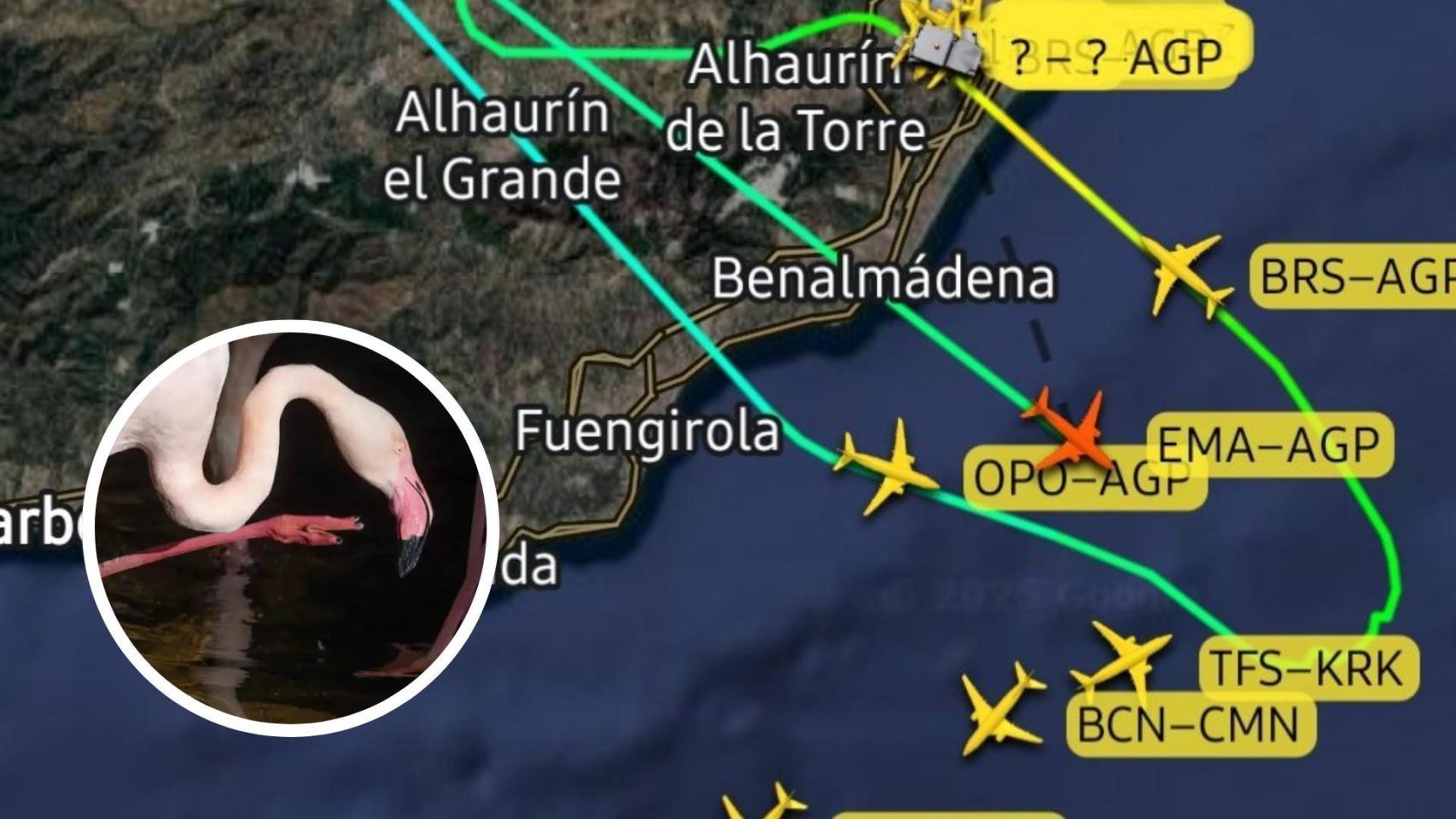 Un montaje con la publicación de los controladores aéreos y la foto de un flamenco