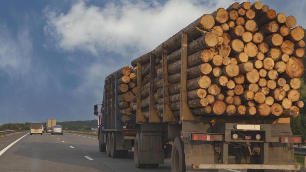 Un camión de madera transporta troncos en una carretera.