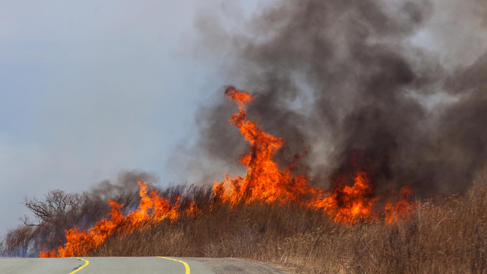Un incendio forestal cerca de la carretera
