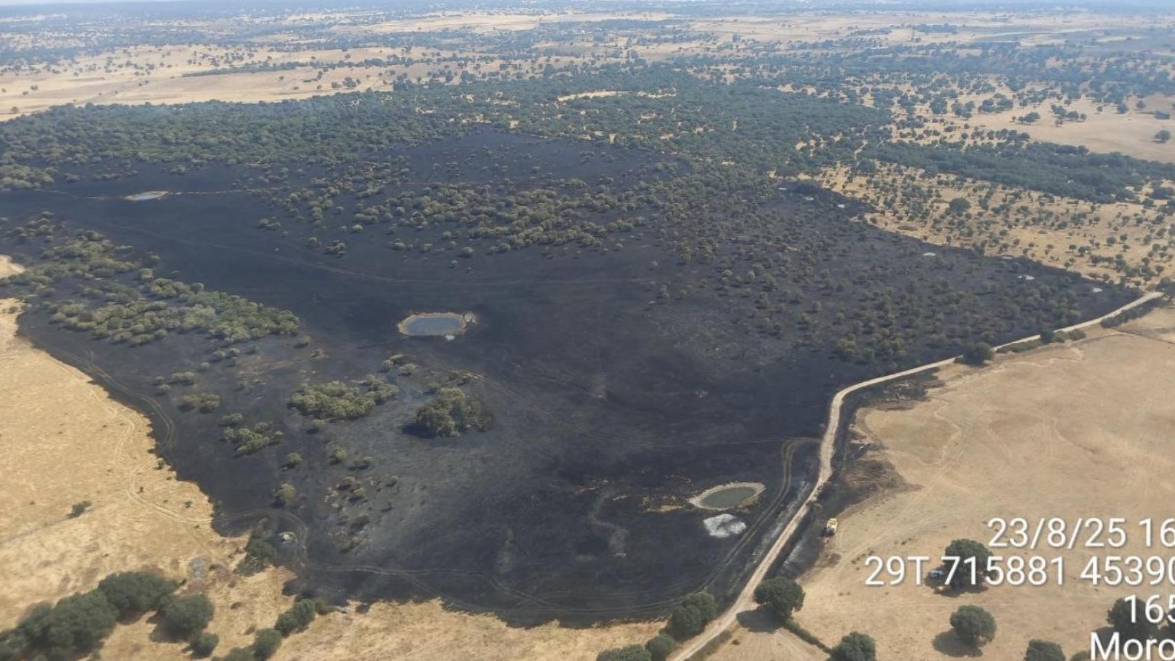 Imagen aérea del incendio en la localidad de Moronta
