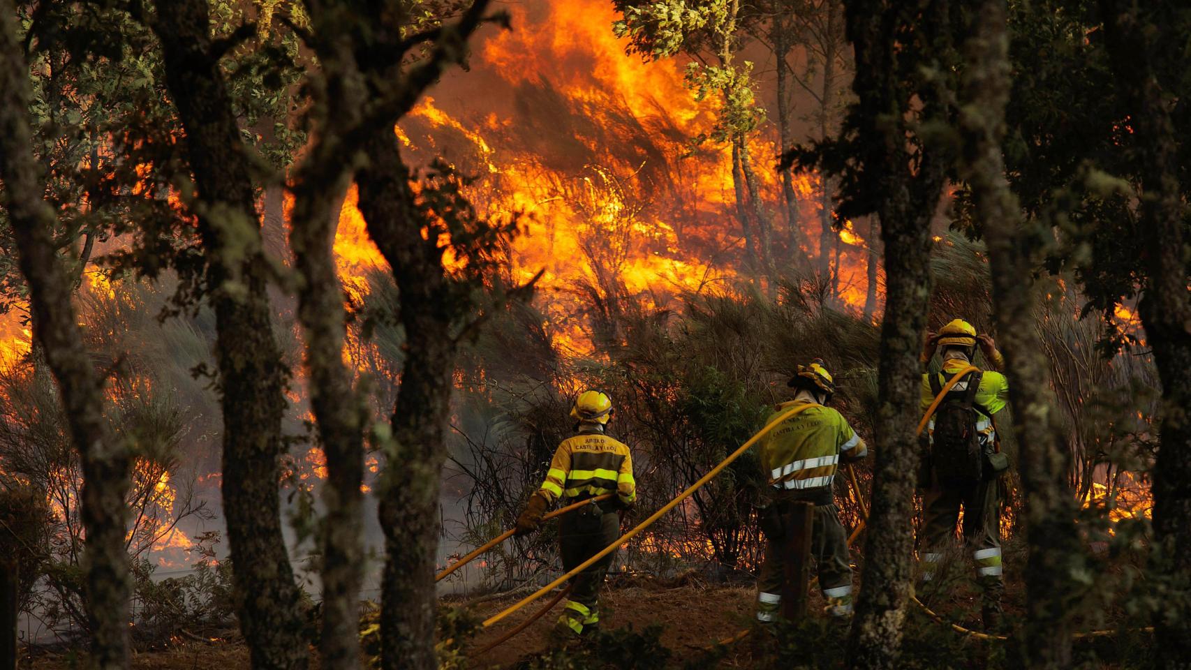 Bomberos forestales sofocando un incendio