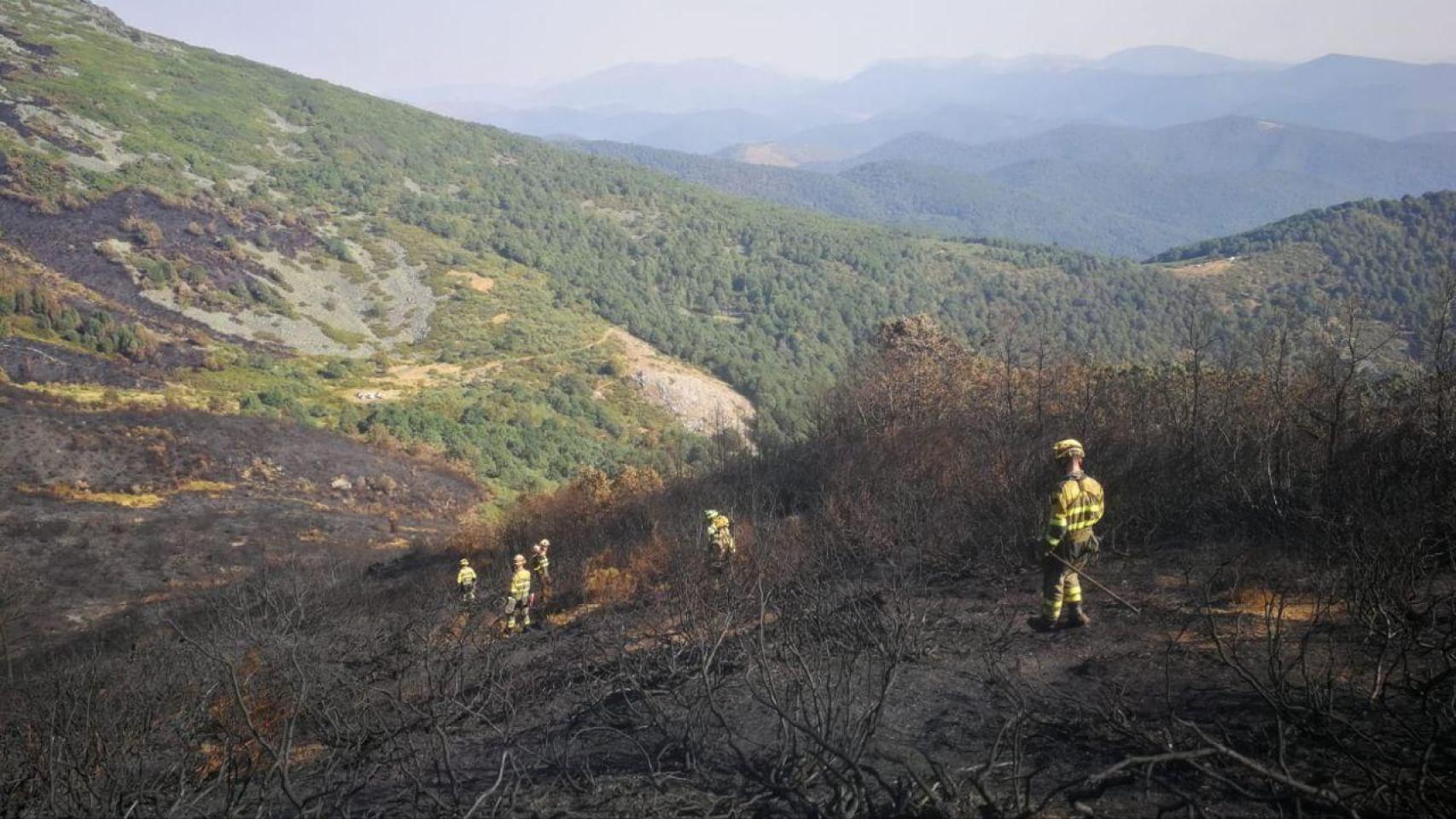 Los efectivo de Infoar trabajan en los incendios de León