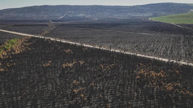 Viaje al triángulo de fuego a vista de dron: de la España vaciada a la España calcinada