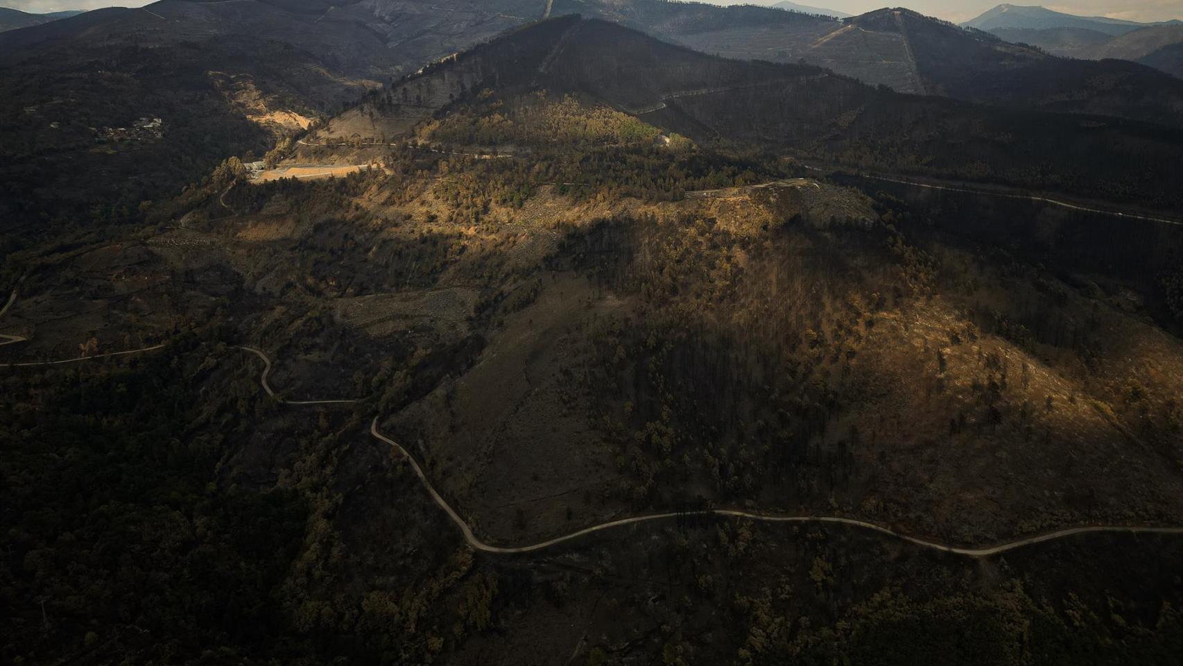 Vista aérea tras el incendio, a 20 de agosto de 2025, en Cernego, Ourense, Galicia (España).