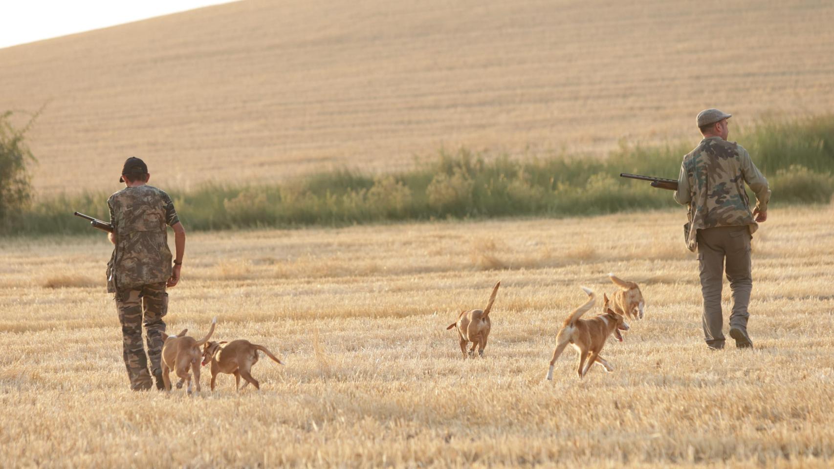 Primera jornada de la media veda de caza en Zamora, el pasado 15 de agosto