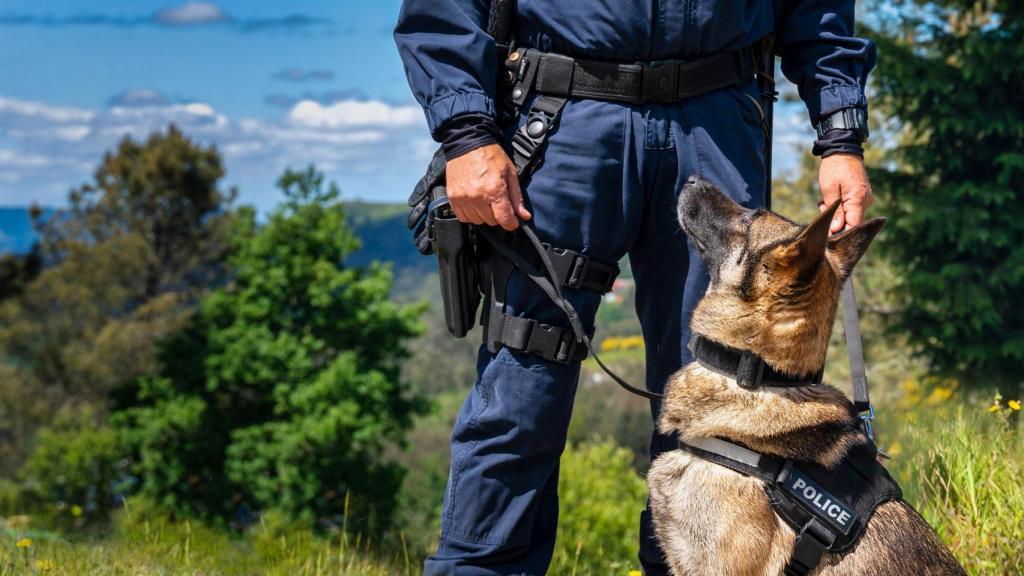Un perro con un policía local.
