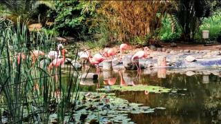 El bonito parque a menos de 20 minutos del centro de Málaga que no te puedes perder: "Un lugar único para pasear"