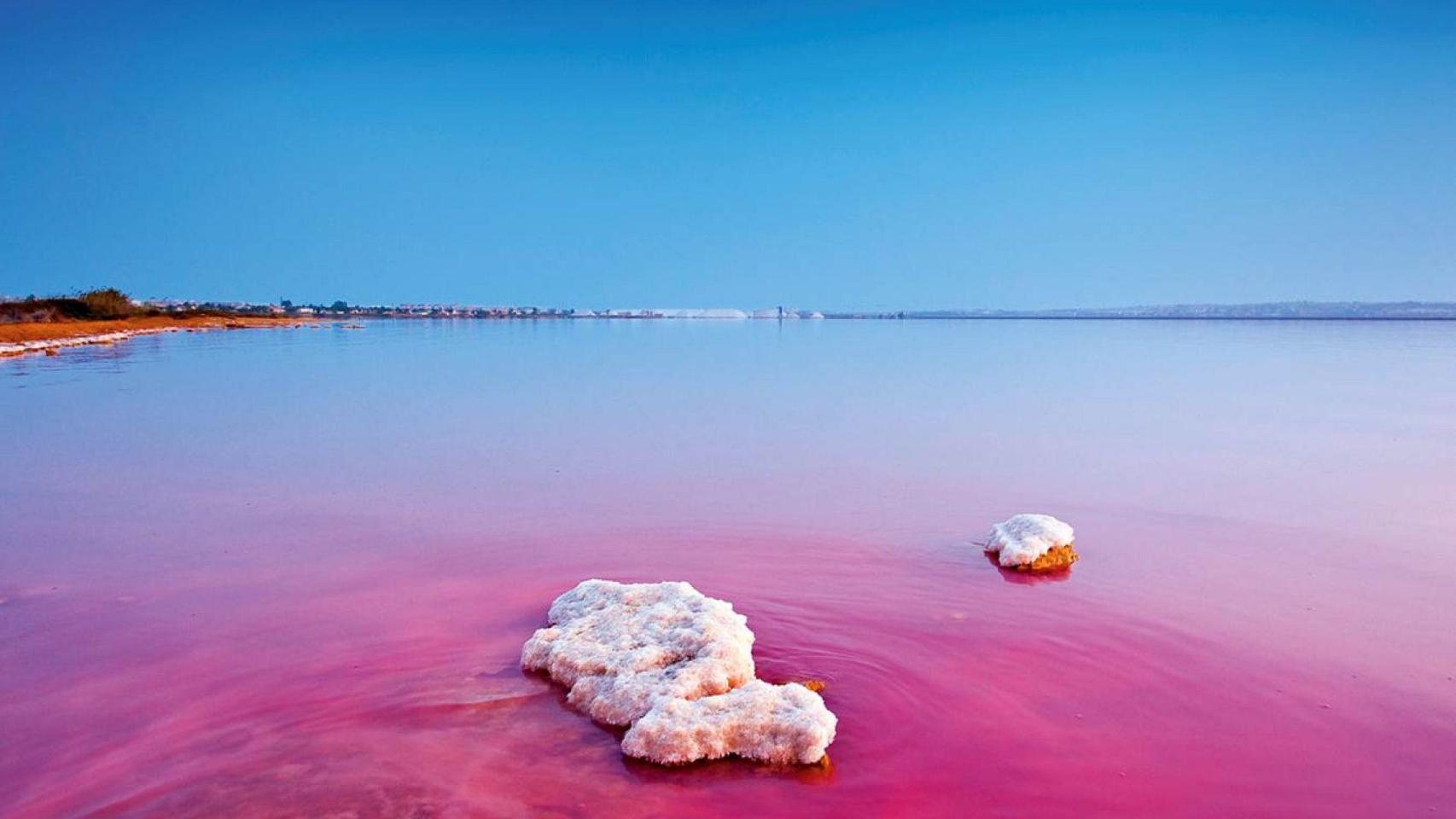 Paisaje de la Laguna Rosa Torrevieja