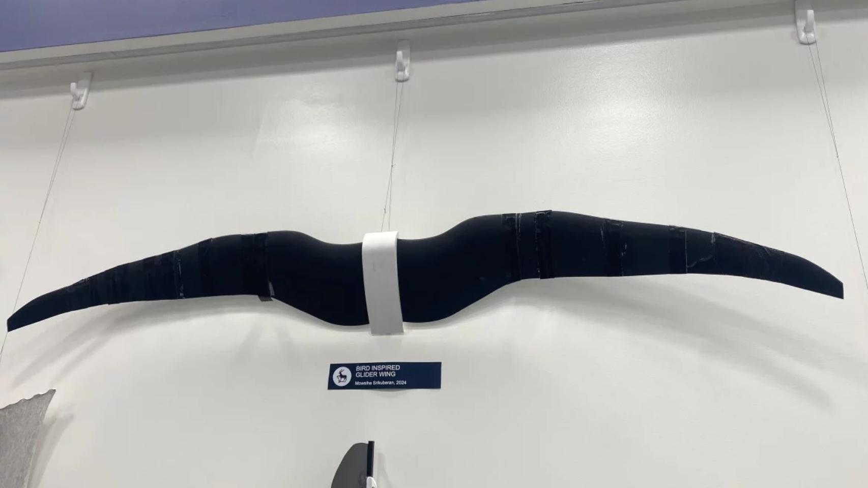 Uno de los drones-pájaro desarrollados por ingenieros de la Universidad de Surrey