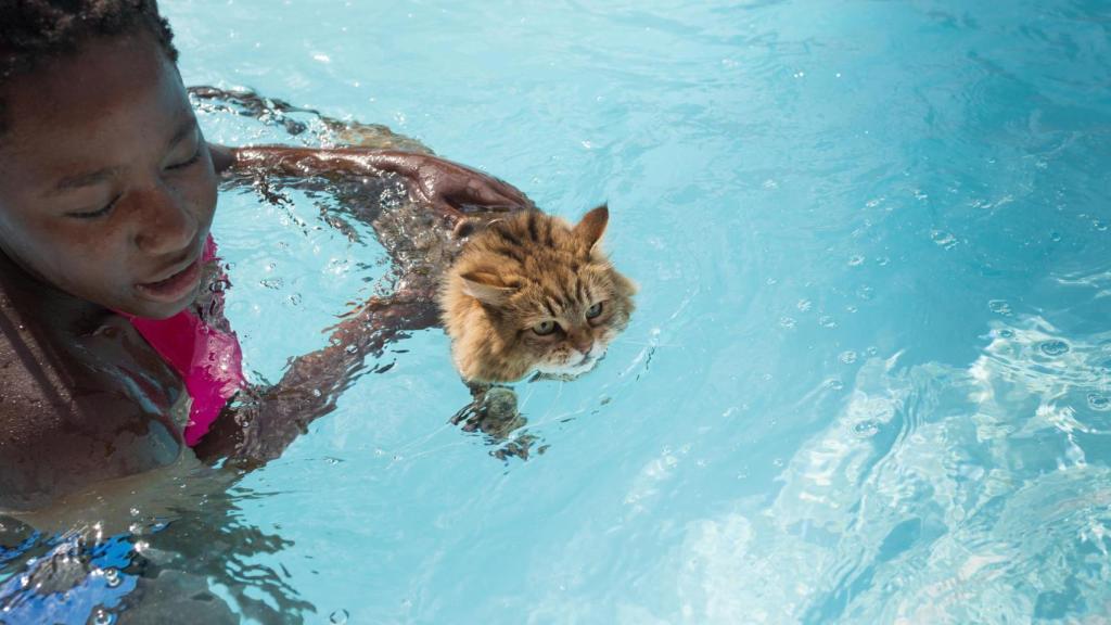 Una chica ayudando a un gato a nadar en una piscina.