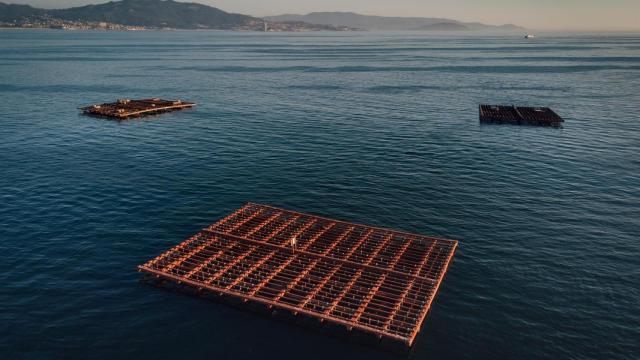 Varias bateas para pescar mejillones en Pontevedra, Galicia (España)