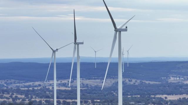Parque eólico de Acciona Energía.