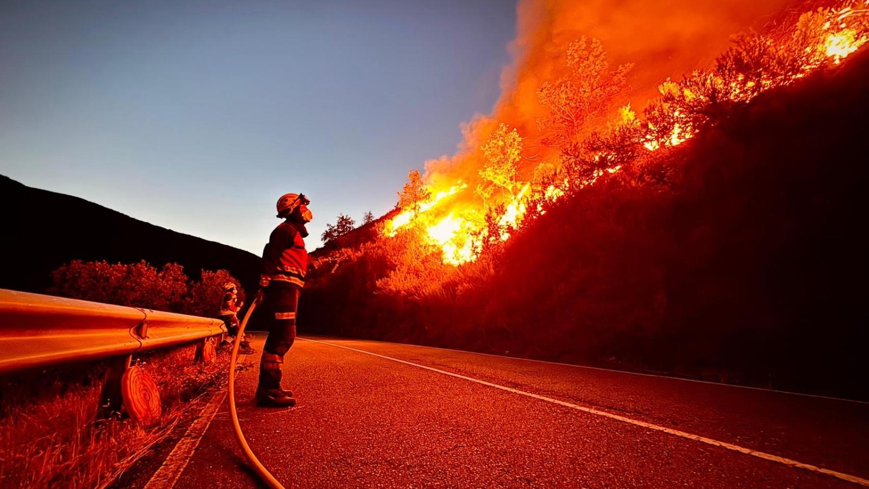 Uno de los bomberos del Consorcio de Alicante durante los incendios en León.