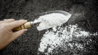 Lo tienes en casa: el fertilizante casero conocido como 'oro blanco' para revivir y hacer crecer tus plantas