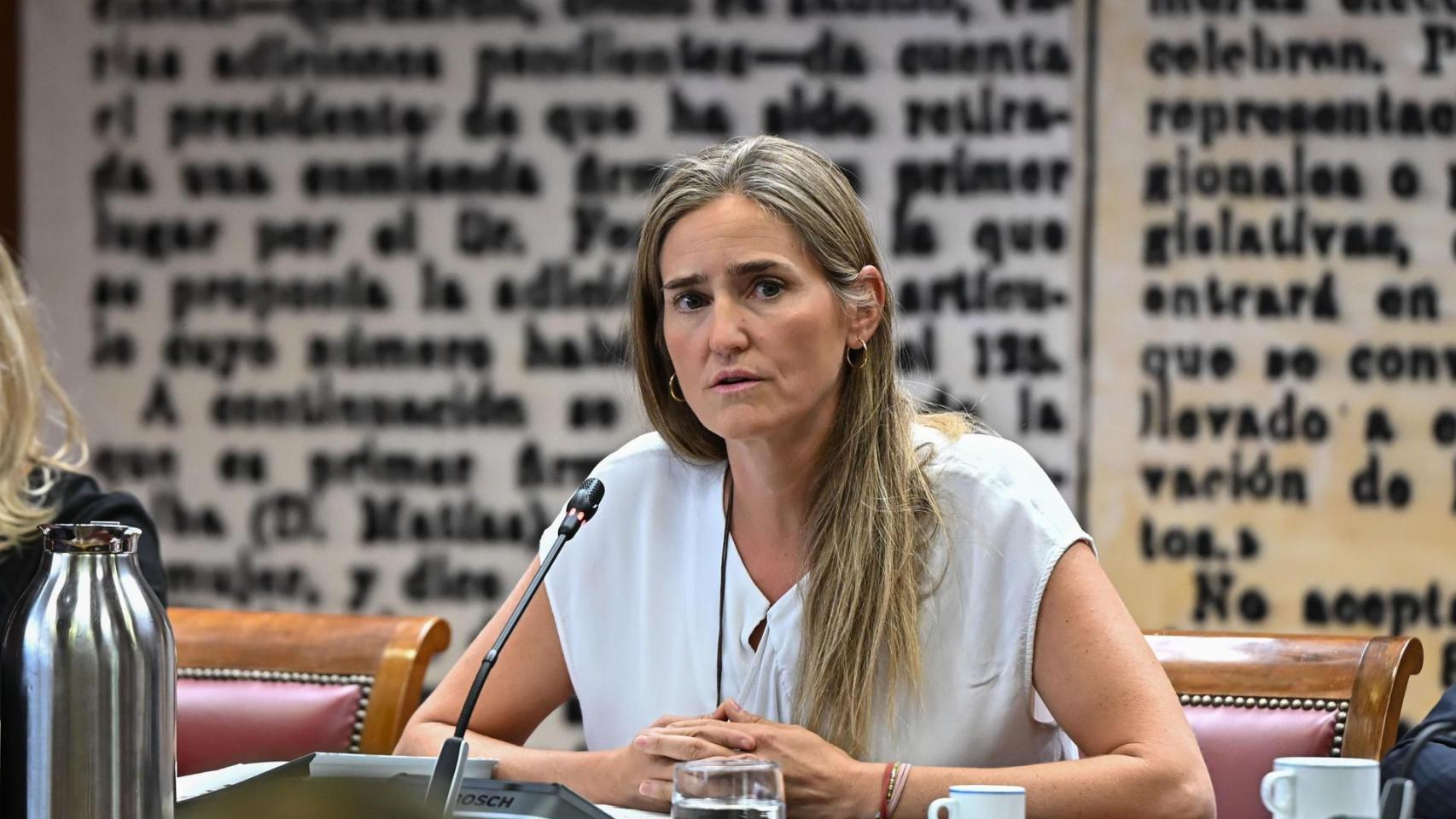 La vicepresidenta tercera y ministra para la Transición Ecológica y el Reto Demográfico, Sara Aagesen, este miércoles en el Senado.