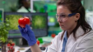 Tras el ajuste inversor y con el empleo al alza, la industria 'foodtech' encara la recta final para consolidarse este 2025