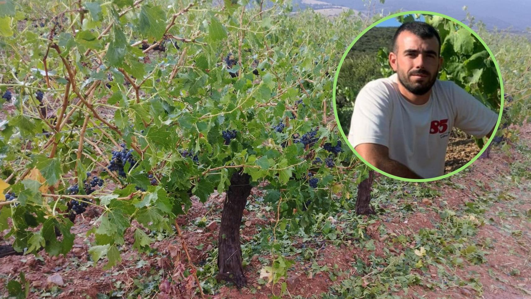 Nicolás Aldea es responsable del sector del vino en UAGA.