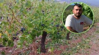 Un agricultor, rotundo con los destrozos de la última granizada: "El daño es del 100% en más de 200 hectáreas"