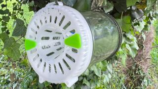 Adiós a las avispas: el invento fabricado en España que las captura de forma segura y sin utilizar productos químicos