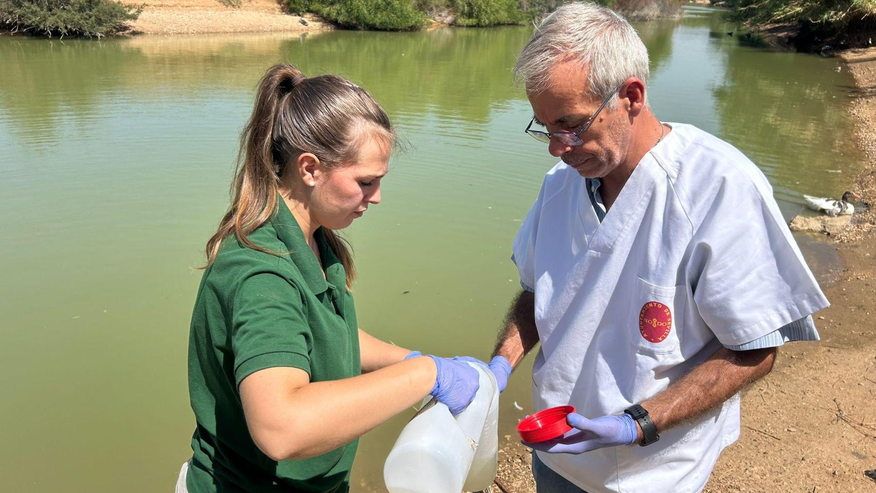 Técnicos trabajando en el estanque del parque del Tamarguillo.