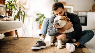 Un veterinario revela la clave infalible para saber si tu gato te echa de menos: "También puede ser un acto de marcaje"