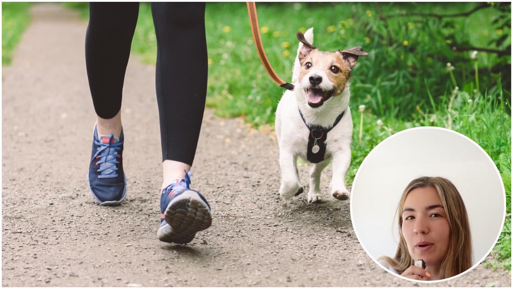 Imagen de un perro paseando junto a Nerea.