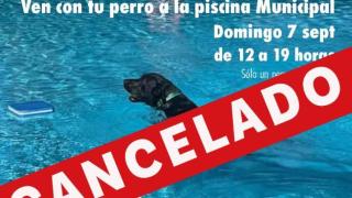 La Comunidad de Madrid veta las jornadas de baño canino en Parla y Fuenlabrada por motivos sanitarios
