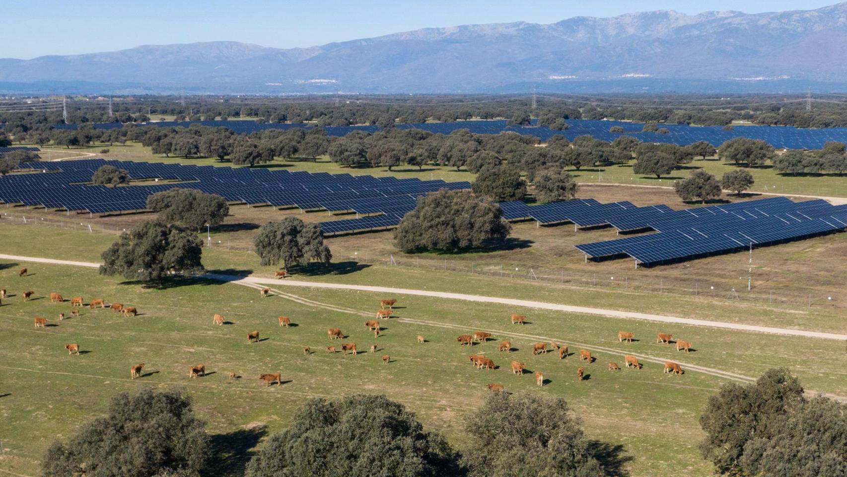 Planta fotovoltaica de Statkraft