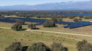 Statkraft logra la autorización ambiental para su planta solar 'Pinea' en Extremadura, de 150 MW