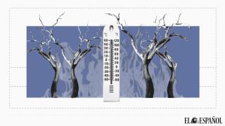 Un 40% cree que la gravedad de los fuegos tiene 'mucho que ver' con el cambio climático y un 94% con el descuido del bosque